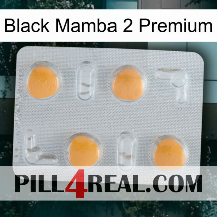 Black Mamba 2 Premium 24